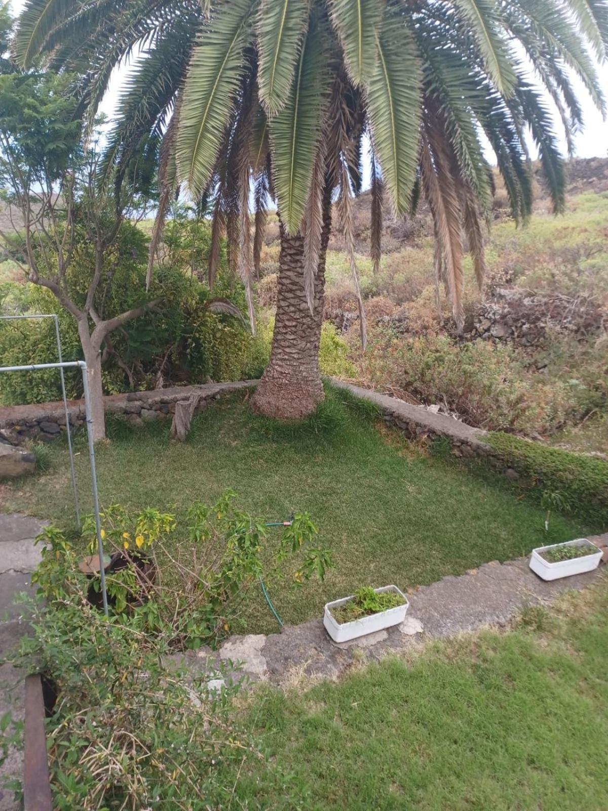 Casa Rural El Olivo De Mazo エクステリア 写真