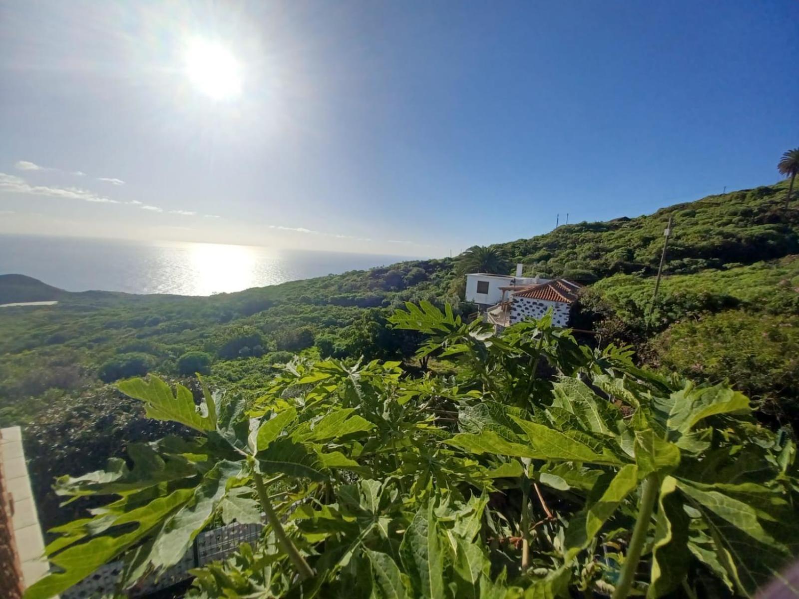 Casa Rural El Olivo De Mazo エクステリア 写真